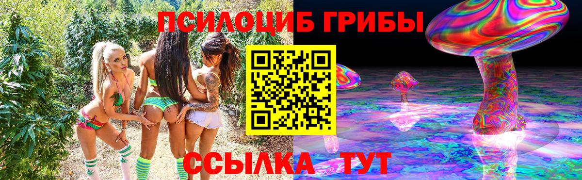 Галлюциногенные грибы Psilocybine cubensis Волгодонск