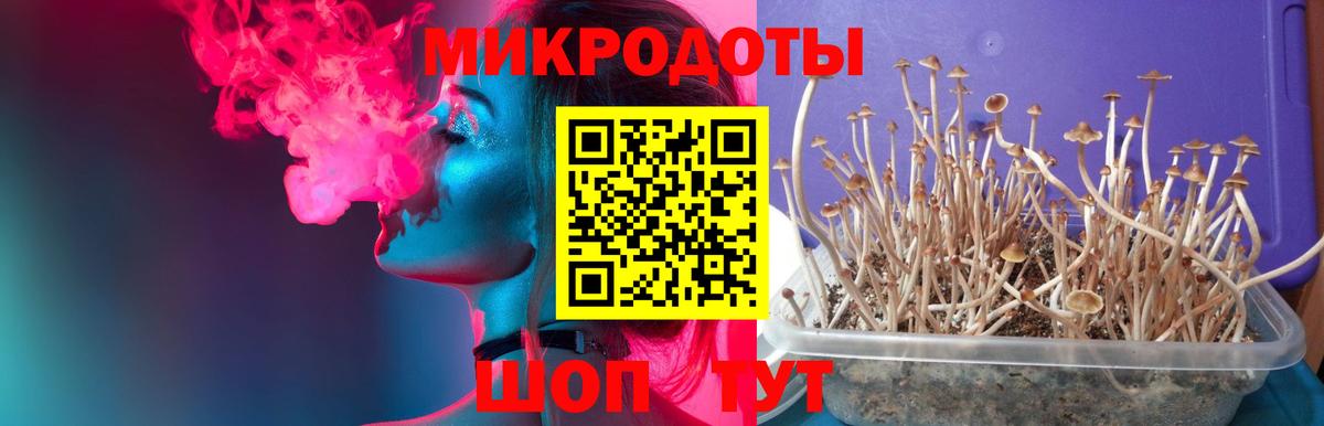 Волгодонск  Псилоцибиновые грибы MAGIC MUSHROOMS  Вход с VPN 
